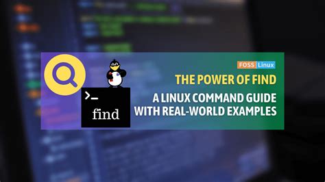 Image result for Linux Find Command Meme