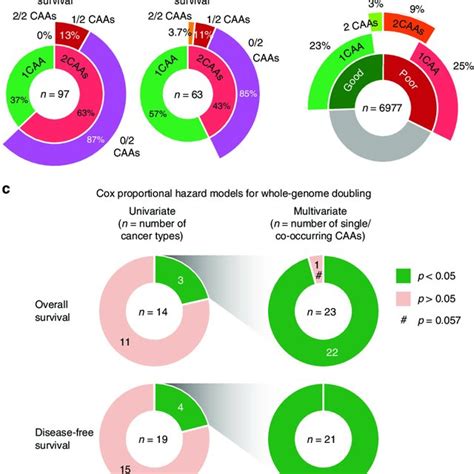 Image result for Pascal Genomics