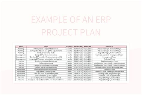 Image result for Sample ERP Project Plan