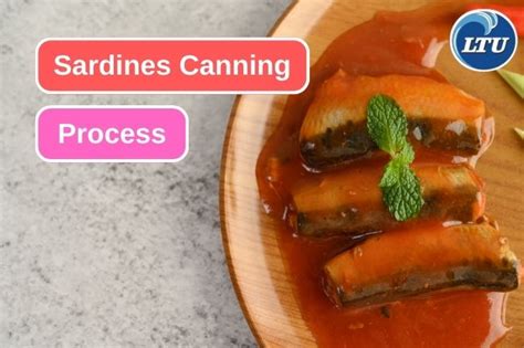 Toradh íomhá ar Sardines Process