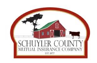 Image result for Consumers County Mutual Insurance
