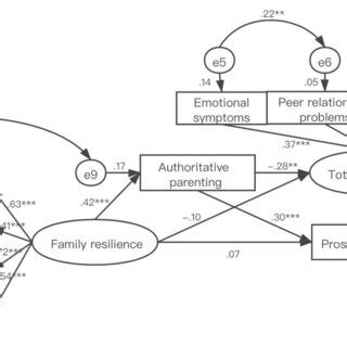 Image result for Family Tree of Structural Equation Modelling