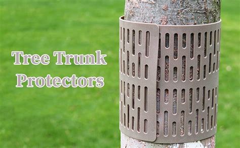 Tree Trunk Protector Detail に対する画像結果