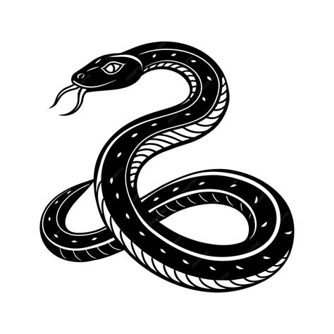 Snake Drawing Black and White に対する画像結果