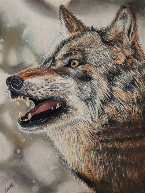 Afbeeldingsresultaten voor Timber Wolf Drawing
