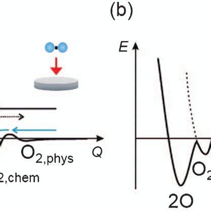 Potential Energy Function O2 に対する画像結果