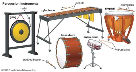 Image result for Sound Instruments