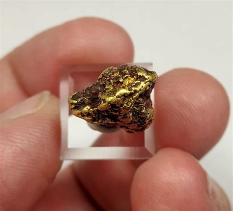 Image result for Gold Quartz Nuggets