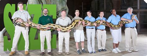 Toradh íomhá ar Columbus Zoo Python