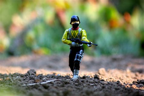 Image result for Phython Patrol