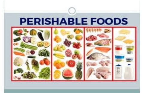 نتيجة الصورة لـ Perishable Material