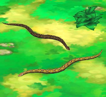 Image result for Reticulated Python Zoo