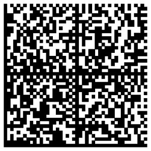 Image result for Data Matrix Twin Code