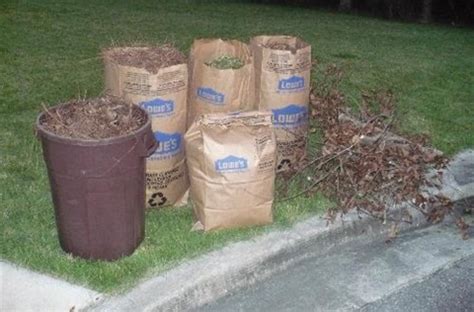 Image result for Set Out Waste Collection