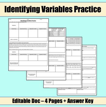 Image result for Identifying Variables Worksheet Book