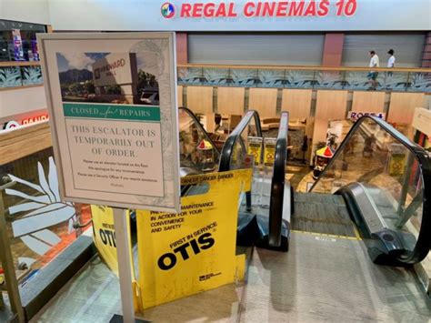 Image result for Escalator Exercise Machine