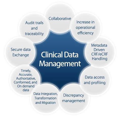 Image result for Clinical Trial Data Management Process