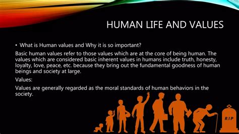 Image result for Human Values and Principles