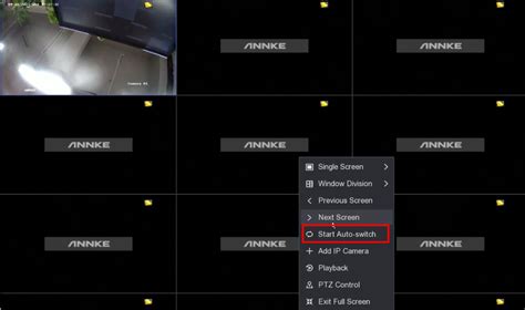 Toradh íomhá ar Annke Camera Screen