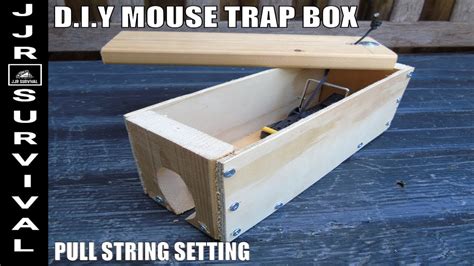 Homemade Mouse Trap に対する画像結果