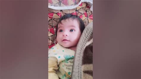 Tik Tok Gallery に対する画像結果