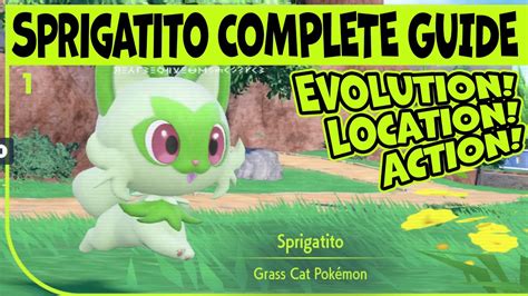 Image result for Springatito Evolution Stages