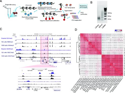 Afbeeldingsresultaten voor Frontier Profiling Histone Modification