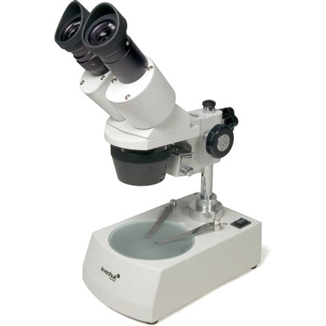 Image result for Stereo Microscope