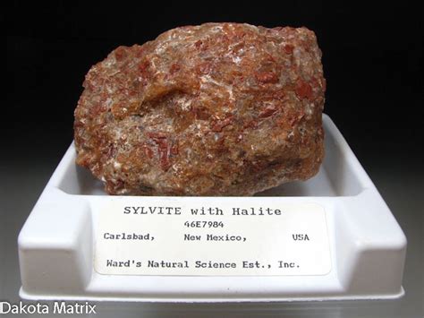 Image result for Sylvite