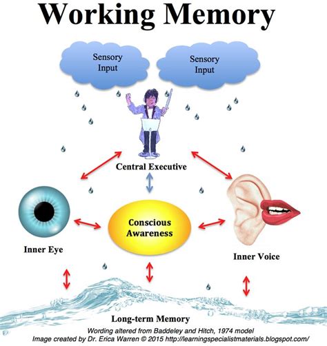 Understanding Working Memory に対する画像結果