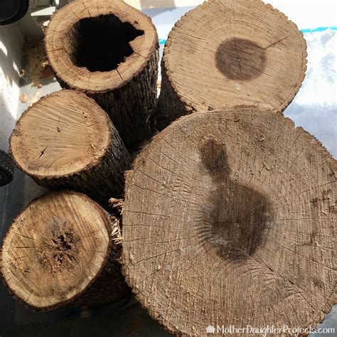 Toradh íomhá ar Log Bench around Fire