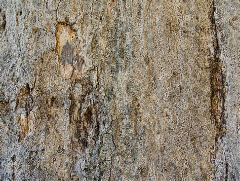 Toradh íomhá ar Wood Exture