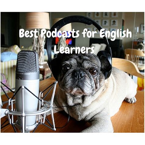Afbeeldingsresultaten voor Best Podcasts in English