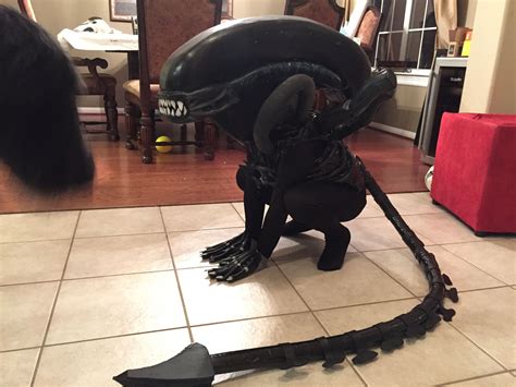Image result for Alien Xenomorph Halloween Costume