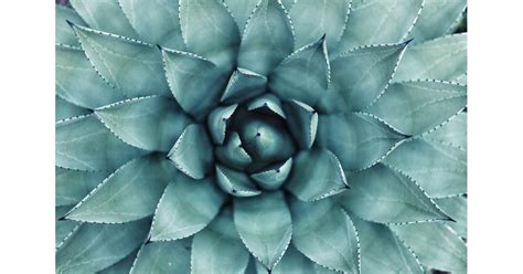 Afbeeldingsresultaten voor What Does a Stereognosis Eye Test Tell You