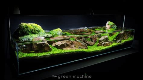Image result for Aquascape Tutorial