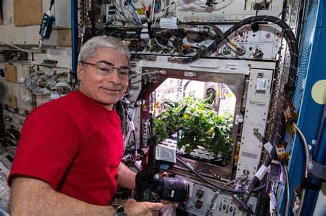 Toradh íomhá ar Australian Astronauts