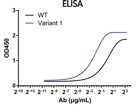 Image result for Antibody Affinity Modification Computer