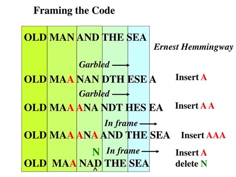 Image result for Protein Biosynthesis