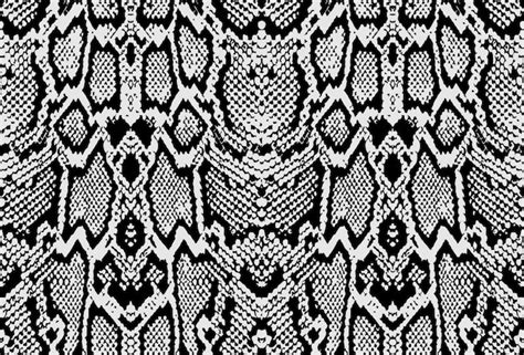 Toradh íomhá ar Matte Black Python Skin