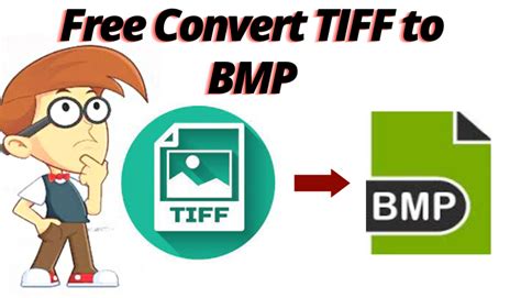 Convert BMP to Tiff Using Fiji માટે ઇમેજ પરિણામ