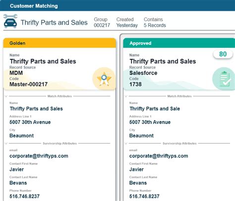 Customer MDM Data Model に対する画像結果
