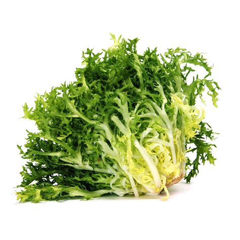 Curly Endive に対する画像結果