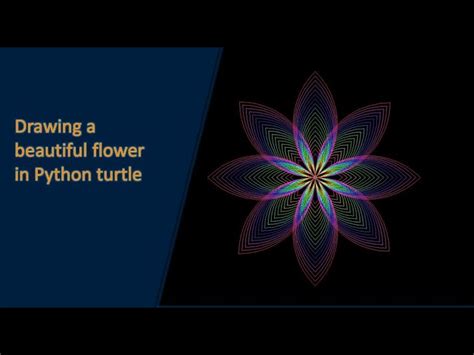 Image result for Python Turtle Flower