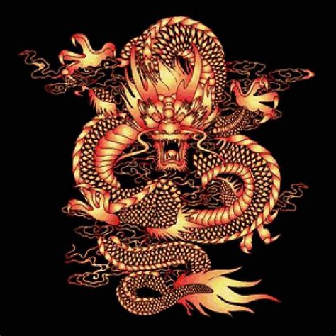 Image result for Naga API