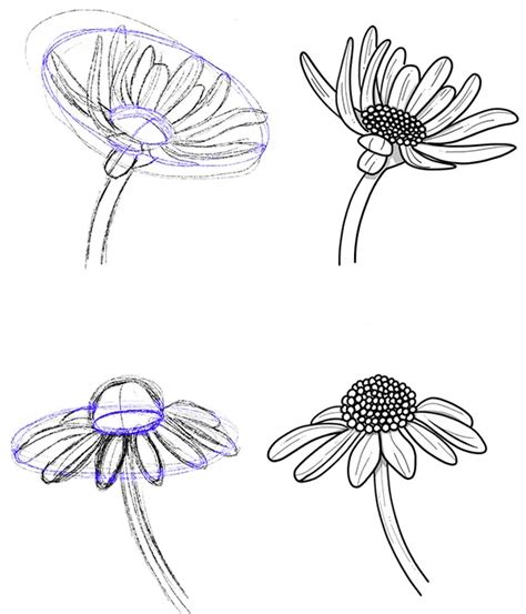 Image result for How to Draw an Eays Flower