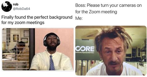 Image result for Zoom Call Interface Meme