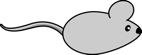 Image result for Mouse Side View Animated