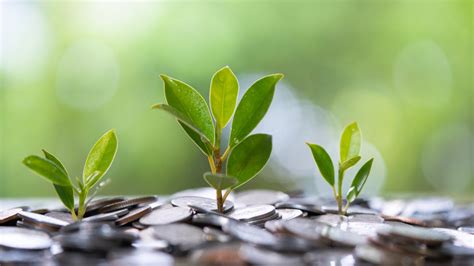 Trading Journal Graphs に対する画像結果