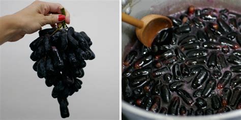 Image result for Widowmaker Milk